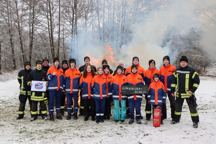 Weihnachtsbaumsammlung
