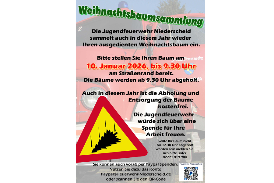 Weihnachtsbaumsammlung